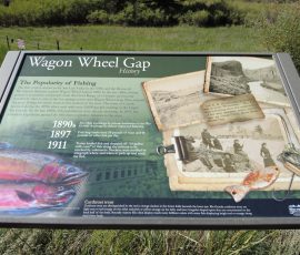 New Mexico Outdoors Photos 20 DCIM100MEDIADJI_0958.JPG