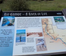 New Mexico Outdoors Photos 17 DCIM100MEDIADJI_0959.JPG