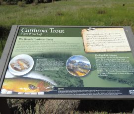 New Mexico Outdoors Photos 15 DCIM100MEDIADJI_0960.JPG