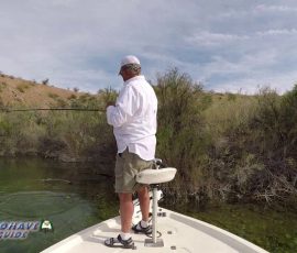 New Mexico Outdoors Photos 6 Bass-Fishing-Colorado-River-Lake-Mohave-vlcsnap-2022-08-21-13h08m17s681