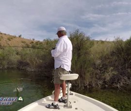 New Mexico Outdoors Photos 5 Bass-Fishing-Colorado-River-Lake-Mohave-vlcsnap-2022-08-21-13h09m09s916