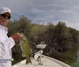 New Mexico Outdoors Photos 4 Bass-Fishing-Colorado-River-Lake-Mohave-vlcsnap-2022-08-21-13h10m38s305