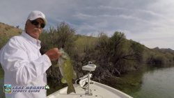 Bass-Fishing-Colorado-River-Lake-Mohave-vlcsnap-2022-08-21-13h10m38s305