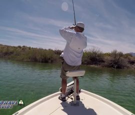 New Mexico Outdoors Photos 2 Bass-Fishing-Colorado-River-Lake-Mohave-vlcsnap-2022-08-21-13h11m26s763