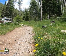 Big-Tesuque-Creek-Campground-mpv-shot0001