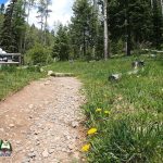 Big-Tesuque-Creek-Campground-mpv-shot0001