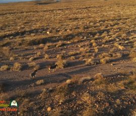 Burros-Mile-West-Mine-Anafi-01-12-2020-Pcomposed_000045_02