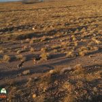 Burros-Mile-West-Mine-Anafi-01-12-2020-Pcomposed_000045_02