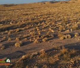 Burros-Mile-West-Mine-Anafi-01-12-2020-Pcomposed_000119_06