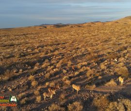 Burros-Mile-West-Mine-Anafi-01-12-2020-Pcomposed_000228_10