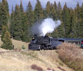 Chama-Train-100_1011