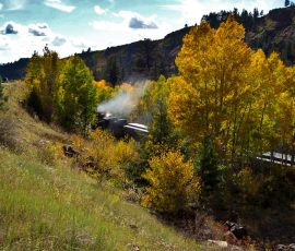 Chama-Train-100_1044