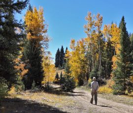 New Mexico Outdoors Photos 74 Chama-Train-FZ2500-10-05-2023-Pat-mpv-shot0007
