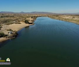 Colorado-River-Moabi-Regional-Park-Anafi-12-12-2019-mpv-shot0005