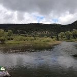 Conejos-River-Trout-Fishing-Public-Access-Mogote-CO