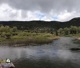 New Mexico Outdoors Photos 1 Conejos-River-Trout-Fishing-Public-Access-Mogote-CO