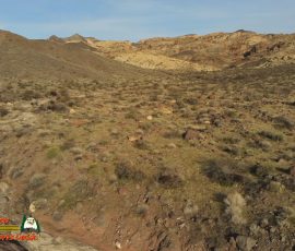 New Mexico Outdoors Photos 1 Corral-Old-Wagon-Trail-Ranch-Anafi-01-04-2020_000027_02