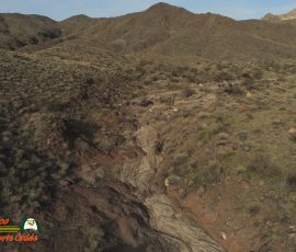 New Mexico Outdoors Photos 16 Corral-Old-Wagon-Trail-Ranch-Anafi-01-04-2020_000219_07