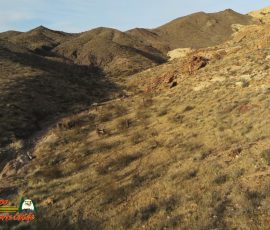 New Mexico Outdoors Photos 9 Corral-Old-Wagon-Trail-Ranch-Anafi-01-04-2020_000305_09