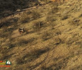 New Mexico Outdoors Photos 11 Corral-Old-Wagon-Trail-Ranch-Anafi-01-04-2020_000321_11