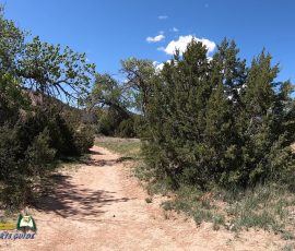 New Mexico Outdoors Photos 78 Galesteo-Basin-Preserve-Cottonwood-Trailhead-Hero5-05-22-2019