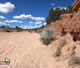New Mexico Outdoors Photos 77 Galesteo-Basin-Preserve-Cottonwood-Trailhead-Wash-Hero5-05-22-2019