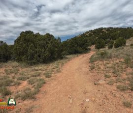 New Mexico Outdoors Photos 6 Hiking-Arroyo-Hondo-Trail-Action4-08-15-2025_000033_01