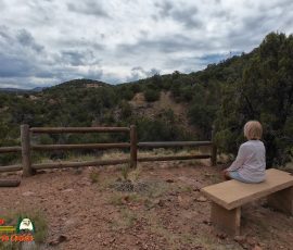 New Mexico Outdoors Photos 11 Hiking-Arroyo-Hondo-Trail-Action4-08-15-2025_000226_04