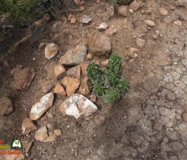 New Mexico Outdoors Photos 13 Hiking-Arroyo-Hondo-Trail-Action4-08-15-2025_000315_06