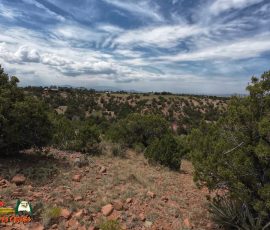 New Mexico Outdoors Photos 14 Hiking-Arroyo-Hondo-Trail-Action4-08-15-2025_000333_07