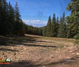 New Mexico Outdoors Photos 72 Hiking-Ski-Santa-Fe-09-29-2024_000229_04