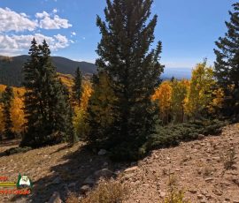 New Mexico Outdoors Photos 71 Hiking-Ski-Santa-Fe-09-29-2024_000242_05