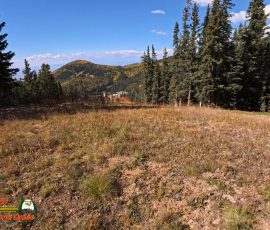 New Mexico Outdoors Photos 63 Hiking-Ski-Santa-Fe-09-29-2024_000419_11