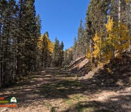 New Mexico Outdoors Photos 61 Hiking-Ski-Santa-Fe-09-29-2024_000633_13