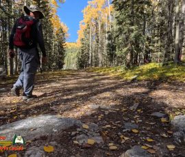 New Mexico Outdoors Photos 60 Hiking-Ski-Santa-Fe-09-29-2024_000658_14