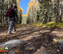 New Mexico Outdoors Photos 59 Hiking-Ski-Santa-Fe-09-29-2024_000658_15