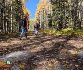 New Mexico Outdoors Photos 58 Hiking-Ski-Santa-Fe-09-29-2024_000702_16