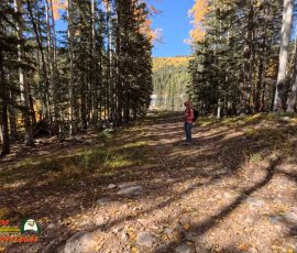 New Mexico Outdoors Photos 57 Hiking-Ski-Santa-Fe-09-29-2024_000719_17