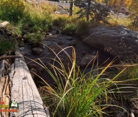 New Mexico Outdoors Photos 54 Hiking-Ski-Santa-Fe-09-29-2024_000801_20