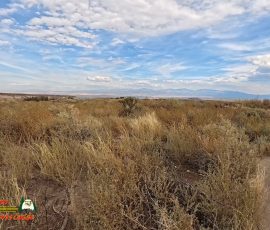 New Mexico Outdoors Photos 41 Hiking-Tsankawi-Pueblo-10-08-2024-Insta360-Ace-Pro_000656_13