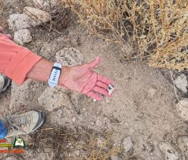 New Mexico Outdoors Photos 38 Hiking-Tsankawi-Pueblo-10-08-2024-Insta360-Ace-Pro_000746_16