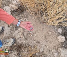 New Mexico Outdoors Photos 37 Hiking-Tsankawi-Pueblo-10-08-2024-Insta360-Ace-Pro_000759_17