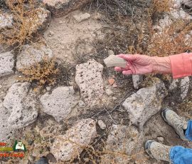 New Mexico Outdoors Photos 35 Hiking-Tsankawi-Pueblo-10-08-2024-Insta360-Ace-Pro_000812_18