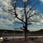 Lamy-Station-Renovations-Pocket2-09-24-2021