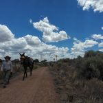 Mule Sunglasses Santa Fe Rail Trail 06 30 2026 Action4
