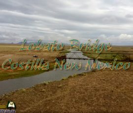 New Mexico Outdoors Photos 29 Rio-Grande-River-Public-Access-Fly-Fishing-Northern-New-Mexico