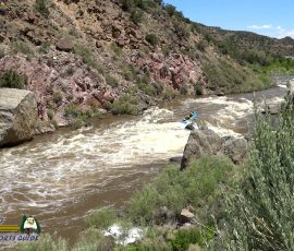 New Mexico Outdoors Photos 17 Rio-Grande-Whitewater-Rafting-2-Flipped-Out-mpv-shot0002