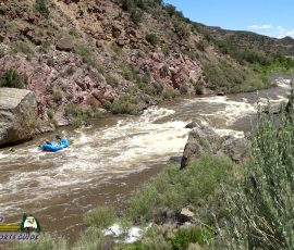 New Mexico Outdoors Photos 19 Rio-Grande-Whitewater-Rafting-2-Flipped-Out-mpv-shot0005