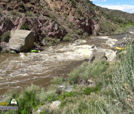 New Mexico Outdoors Photos 16 Rio-Grande-Whitewater-Rafting-Big-Rock-Race-Course-mpv-shot0006