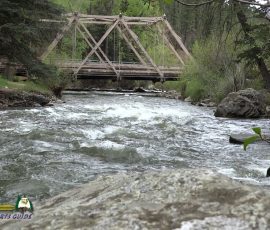 Rio-Pecos-Terro-Bridge-Trout-Fishing-Public-Access-05-23-2019
